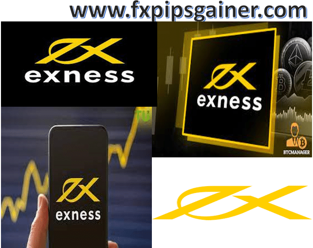 Understanding the Regulated Exness Broker A Comprehensive Review