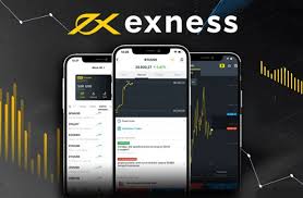 Understanding the Regulated Exness Broker A Comprehensive Review