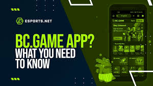 Exploring the Excitement of the India BC Game 0 Exploring the Excitement of the India BC Game 0