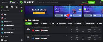 Exploring the Excitement of the India BC Game 0 Exploring the Excitement of the India BC Game 0