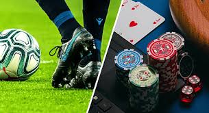 The Allure of 555rr A Comprehensive Look at Online Betting