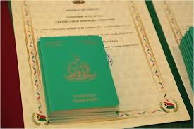 Insights into the Vanuatu Citizenship Interview Process
